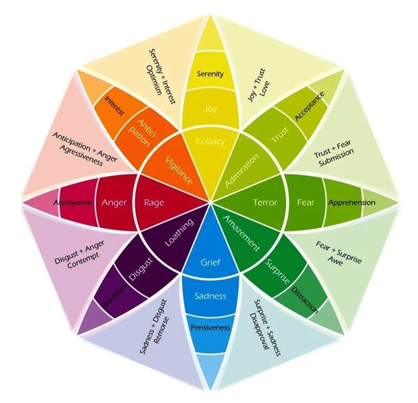 The 7 basic emotions